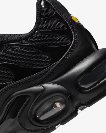 Nike Air Max plus pour femmes