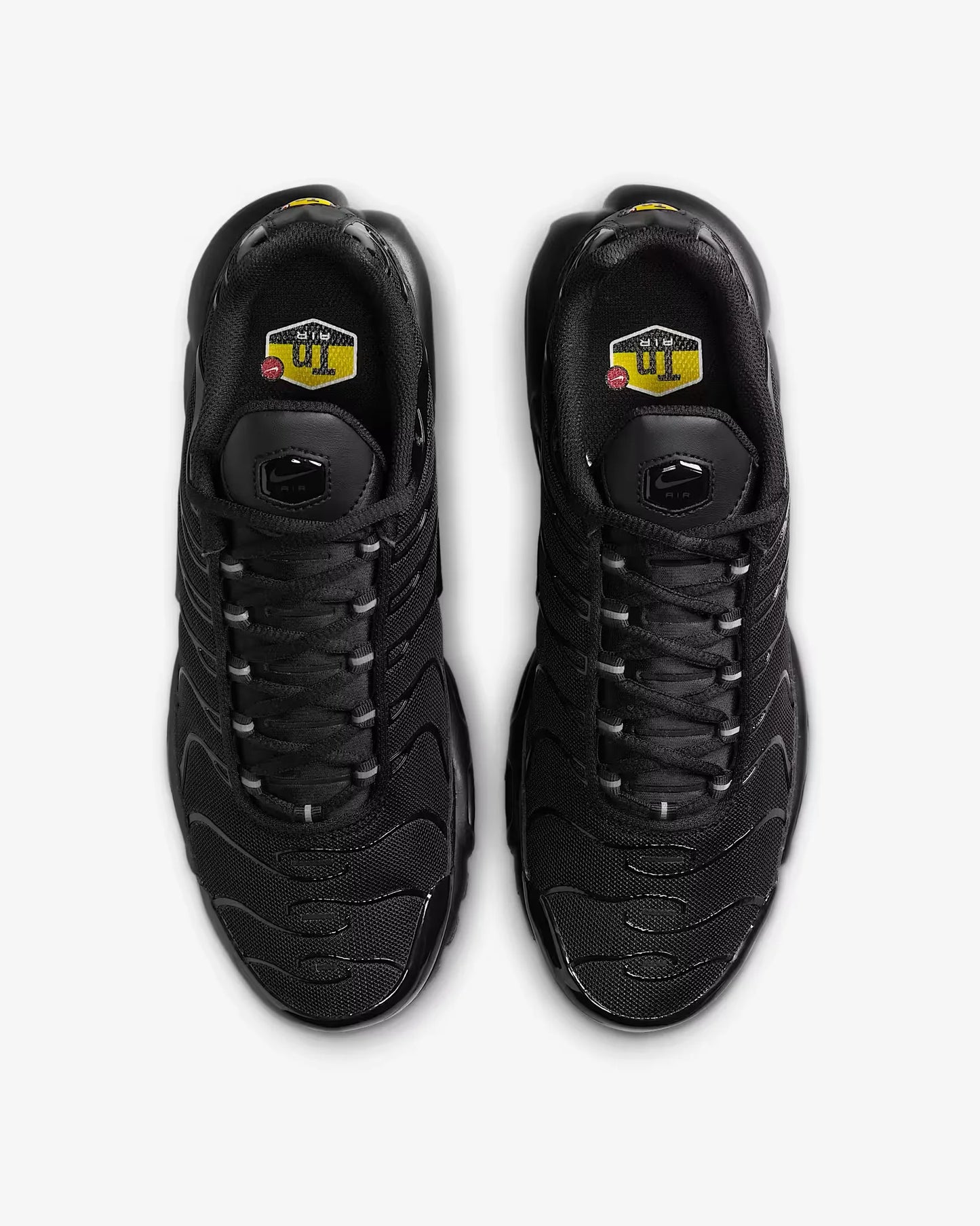 Nike Air Max plus pour femmes